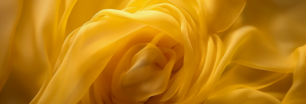 Silk Chiffon close up yellow sunrise